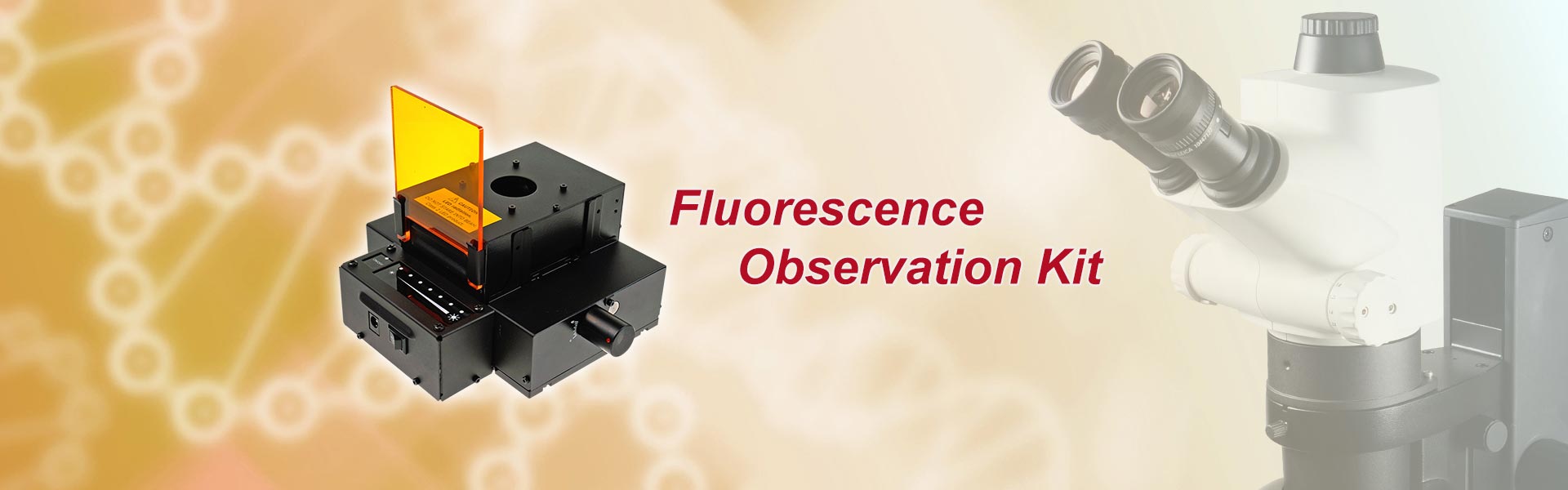 Fluorescence Observation